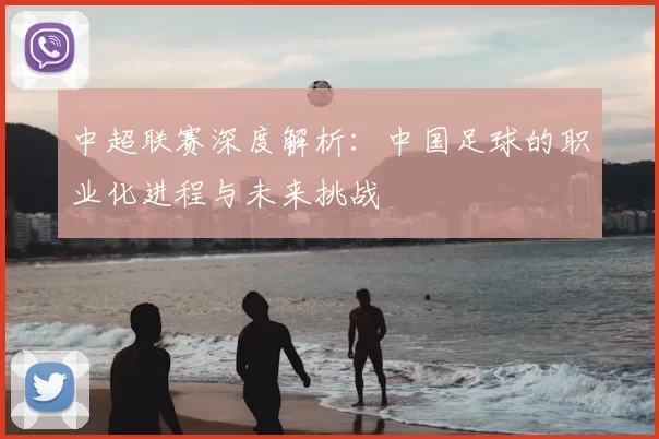中超联赛深度解析:中国足球的职业化进程与未来挑战