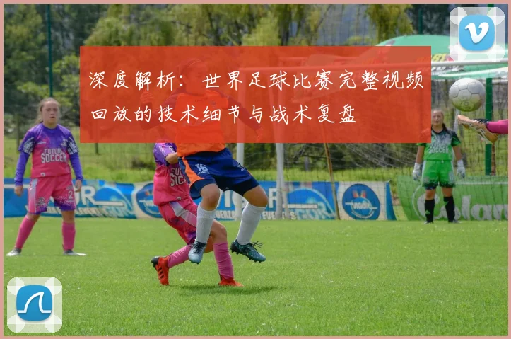 深度解析：世界足球比赛完整视频回放的技术细节与战术复盘