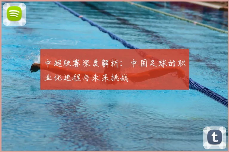 中超联赛深度解析：中国足球的职业化进程与未来挑战