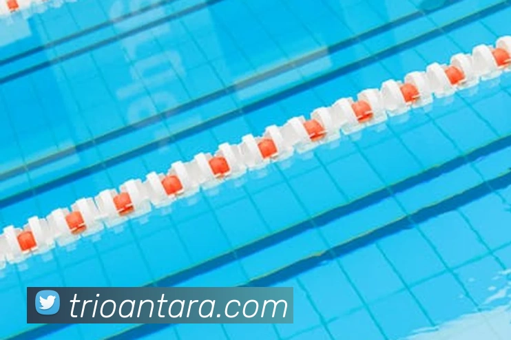 奖项4